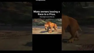 Discord Memes