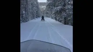 Colorado Honeymoon