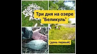 Три дня на озере 