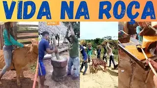 COISAS da ROÇA. Veja como é morar e viver na roça!