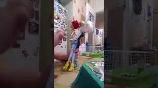 Всех простили