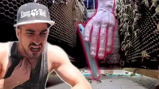 דחפתי לו את האייפון לכוורת דבורים *מתיחה*