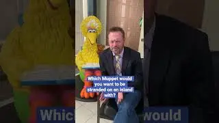 Matt Vogel, voice of #bigbird and #kermitthefrog, answers fun questions about The Muppets