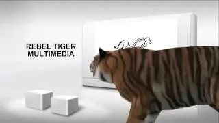 Title of Rebel Tiger Multimedia