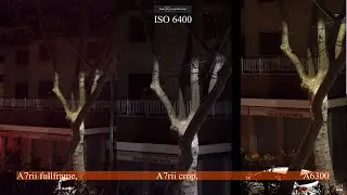 A7RII CROP VS FULLFRAME LOW LIGHT 4K TEST + A6300 4k Comparison
