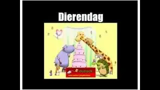 Dierendag groep 3/4