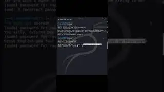 When the Linux terminal hates you 