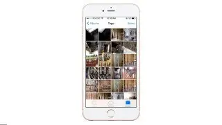 Tago - Snap, Tag and Find your Photos - Archive your Photos (Windows)