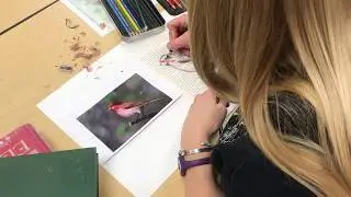 How to Shade using Colored Pencils