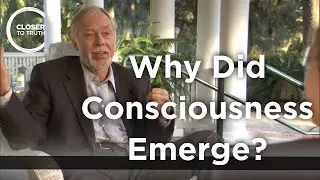 Roy Baumeister - Why Did Consciousness Emerge?