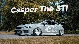 Adventure with Casper the STI // 2019 Subaru STI
