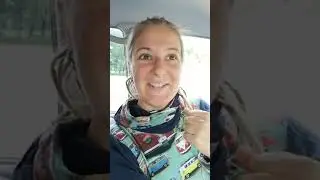 Dein Plan ins Traumleben LIVE