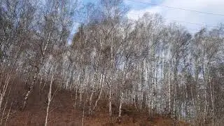 Я ее поймала! Моя ловушка работает! 