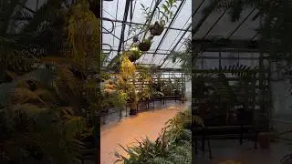 Ботанический сад 🪴| день ботаники 🌱 inst miviice 