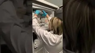 Quando apri il frigo a -80 gradi! 
