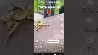это районный прокурор.