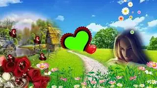 Green screen video || top photo frame hd background || wedding invitation green screen effects