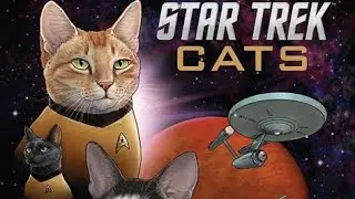 Star Trek Intro - Cat version parody