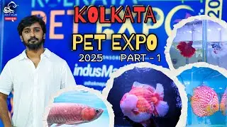 Kolkata Pet Expo 2025 | Biggest Fish Expo in Kolkata | Part 1 | Aquarium Fish Competition & Brands