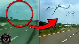 Creepy Videos of Impossible Natural Phenomena That No One Knows How They Happened