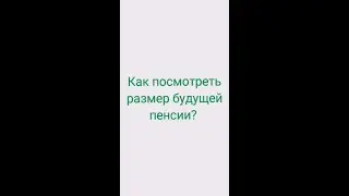 Как посмотреть размер будущей пенсии?