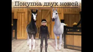 Покупка двух коней по скидке!