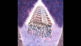 Holy Mountain 