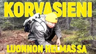 Hengenvaarallinen saalis! | Makumatkalla kalmistoon?