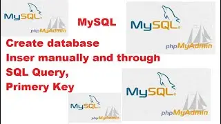 How to create database in MySQL manually, and Query, insert data, parameter to be set & primary key