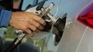 EcoGas — новый топливный бренд ПАО «Газпром»