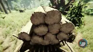 The Forest the arival of the worm