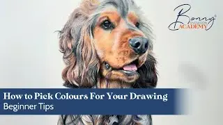How to Pick Colours For Your Drawing | Beginner Tips