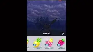 Zen rom raid!!!