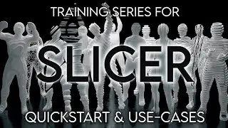 Slicer Training Series: Quick Start & Use-Cases