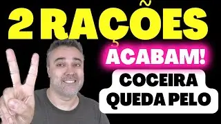 2 rações ACABAM ✅COCEIRA ✅ALERGIA ✅QUEDA DE PELO!!