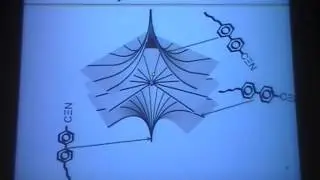 Three-dimesional Laser Manipulation and Imaging of Liquid Crystals and Composites - Ivan Smalyukh