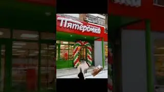 я иду папе за п###м