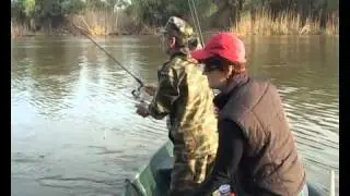 Ловля воблы и подлещика - Fishing of a vobla and white bream