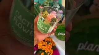 Аппетитные свечи в виде напитка!