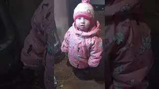 Моцион у Крс и у нас/ Гуляем все чаще и больше