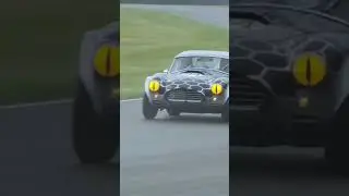 Painting snake eyes over the headlights of a Cobra is genius 