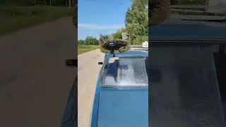 Тюнинг ВАЗ начинает работать #automobile #top #video #реки #дача #shortvideo #деревенскийвыходной