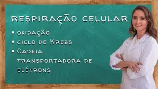 Bioquímica - o que é a respiração celular?