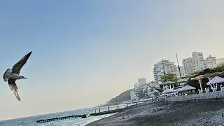 Ялта, 3 октября 2024 года
