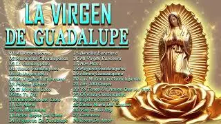 La Virgen De Guadalupe✨Cántos a la virgen de Guadalup🎶mañanita a la virgen de guadalupe
