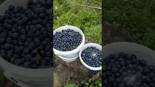 Карелия.