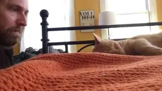 Отомстил коту за ночное мяуканье)