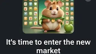 Hamster Combat Daily Combo September 11th