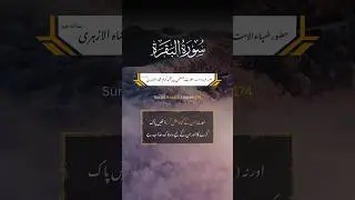Surah Baqara Verse 174 Translation in Urdu #quran #quranepak #urdu #translation