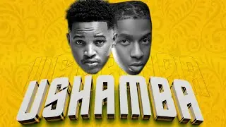 Dj Mushizo Ft Platform - Ushamba ( official audio )